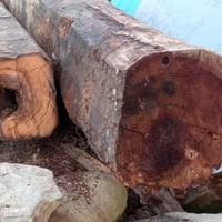 Travi antichi in legno