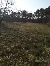 Terreno agricolo per amanti della natura