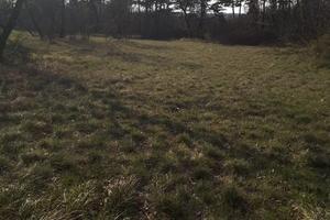 Terreno agricolo per amanti della natura