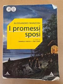 I promessi sposi 9788824750011