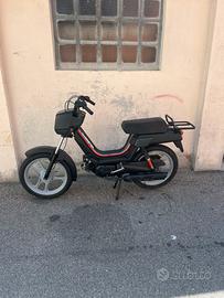 atala master 50