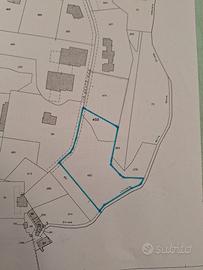 Terreno boschivo in fraz. moncanino a s.mauro t.se
