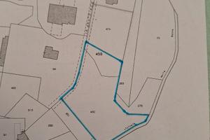 Terreno boschivo in fraz. moncanino a s.mauro t.se