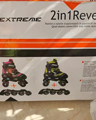 pattini per la pista è per il ghiaccio 