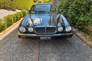 JAGUAR scritta ASI - XJ6 del 1983