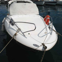 Barca Quicksilver 555 WA Commander - 100hp