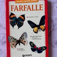 Farfalle