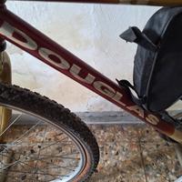 bicicletta mountainbike