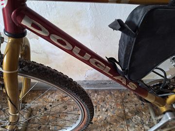 bicicletta mountainbike