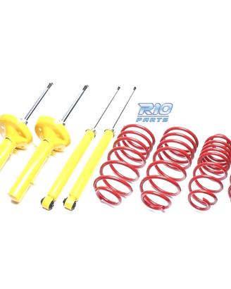SOSPENSIONE SPORTIVA RENAULT CLIO 1990-1998 60/--m