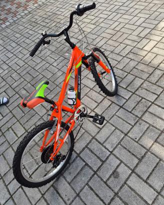 Mountain bike