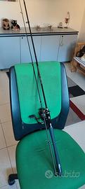 Canne da pesca a spinning e bolognese