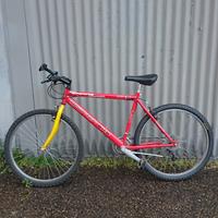 Bicicletta ragazzo 26"