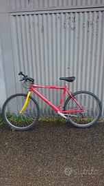 Bicicletta ragazzo 26"