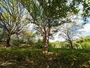 villa-o-villino-borgia-mg307vrg-