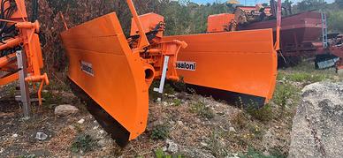 Lame sgombraneve assaloni