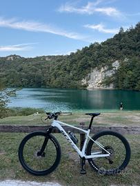 Bici Scott Scale 960 L