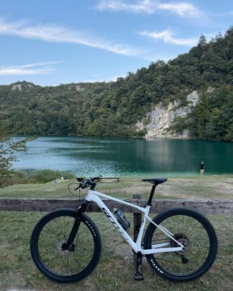 Bici Scott Scale 960 L