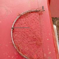 Acchiappa quaglie o ratti.