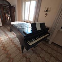 Pianoforte a coda