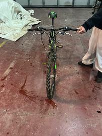 Bici casadei