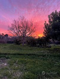 Terreno edificabile
