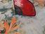 Immagine 1