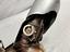 Immagine 11
