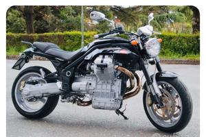 Guzzi griso 850