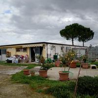 CAPANNONE A SANTARCANGELO DI ROMAGNA