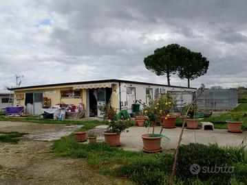 CAPANNONE A SANTARCANGELO DI ROMAGNA