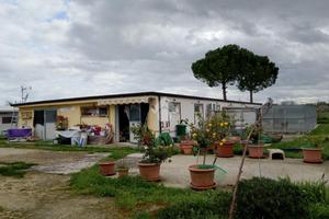 CAPANNONE A SANTARCANGELO DI ROMAGNA