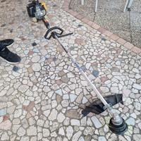 tagliaerba e tagliabordi alpina