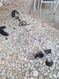 tagliaerba e tagliabordi alpina