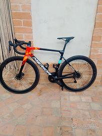 Merida scultura team 2024
