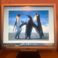 Monitor Acer AL1716B / AL1716Bs 17” LCD – 30€