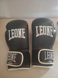 guantoni da box