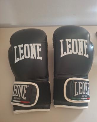 guantoni da box