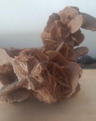 rosa del deserto 