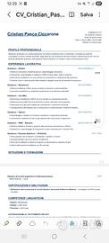 Lavoro saldatore