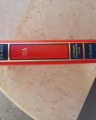 enciclopedia 