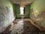 Immagine 17