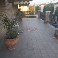 Camera 300 euro al mese à Sorbolo/Parma