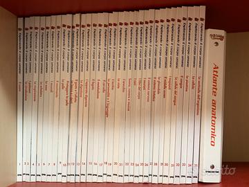 35Vumi + 18 Dvd “Esplorando il Corpo Umano”