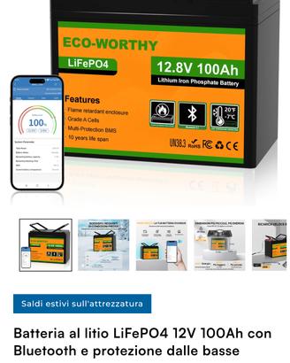 Batteria Lifepo4 Eco-worthy 100Ah nuova