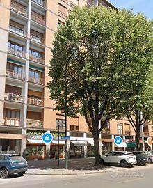 appartamento Corso Orbassano 224