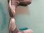 Immagine 4