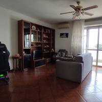 Ampio appartamento con terrazzo nel verde