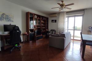 Ampio appartamento con terrazzo nel verde