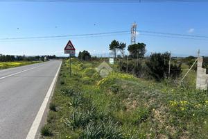 TER. AGRICOLO A SELARGIUS